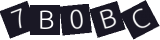 Güvenlik Kodu